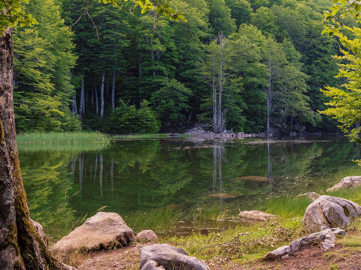 Park Kościuszki w Katowicach, Brynów